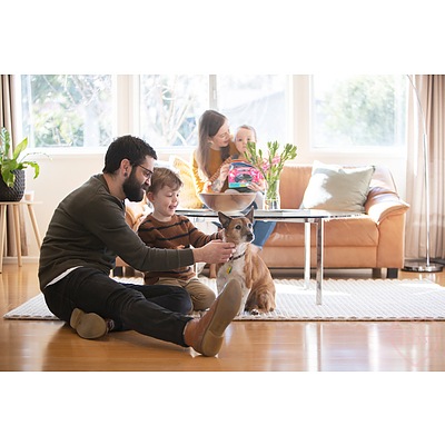 24 Halford Crescent, Page ACT 2614