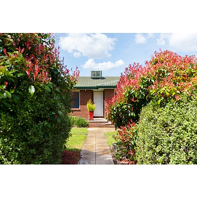 14 Sanford Place, Kaleen ACT 2617