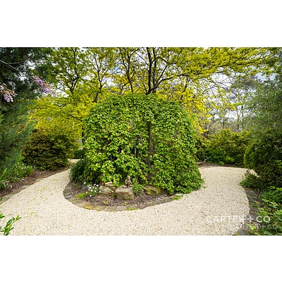 15 Houghton Place, Spence ACT 2615