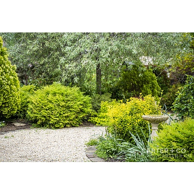 15 Houghton Place, Spence ACT 2615