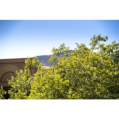 222/27 Lonsdale Street, Braddon ACT 2612