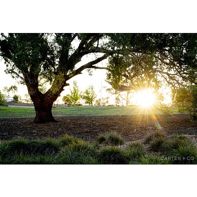 42 Quinane Avenue, Forde ACT 2914