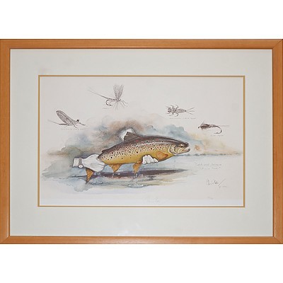 Chris Hole (20th Century, Australian), Catch and Release Brown Trout, Reproduction Print