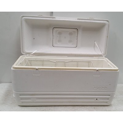 Large Esky