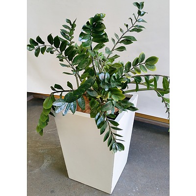 Zanzibar Gem(Zamioculus Zalmiofolia) Indoor Plant With Fiberglass Planter