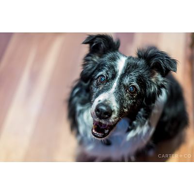 9 Ingram Street, Gowrie ACT 2904