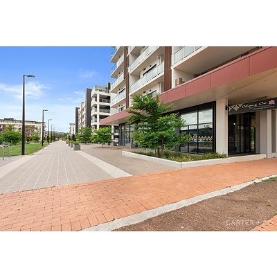 45/311 Anketell Street, Greenway ACT 2900