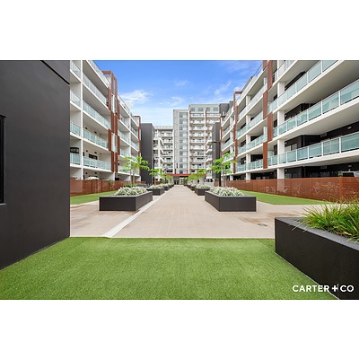 116/311 Anketell Street, Greenway ACT 2900