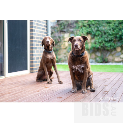 5 Selleck Street, Casey ACT 2913