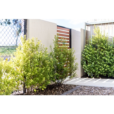 63 Jumbuck Crescent, Lawson ACT 2617