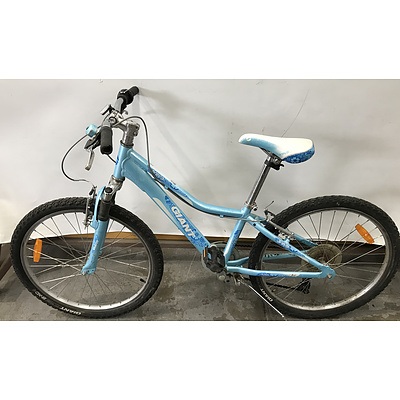 Giant Areva and Veer Childrens Bikes