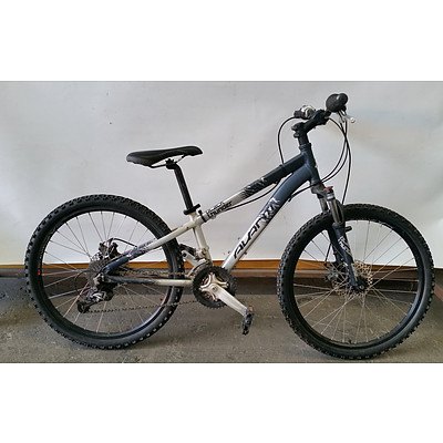 Avanti Black Thunder 21 Speed Mountain Bike
