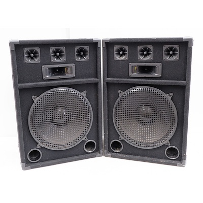 Unbranded 15inch Passive Speakers