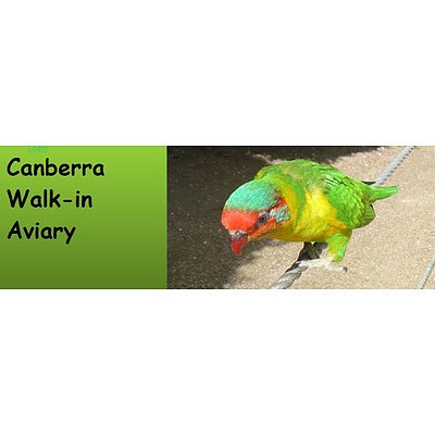 Family, Wellness & Beverage Package IV