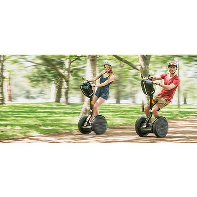 Family, Wellness & Beverage Package V