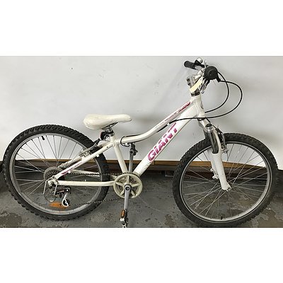 Giant Areva 225 Kids Bike