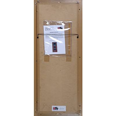 #9 Jason Richards 2009 Framed Signed Photo with Race Brake Pad