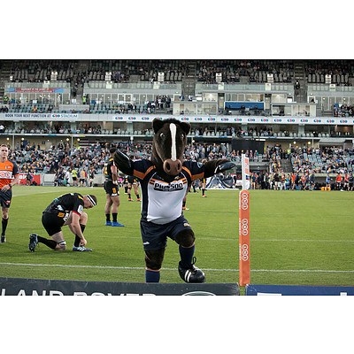 Brumby Jack appearance