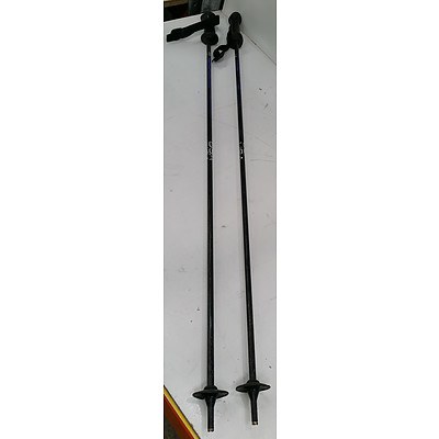 Composite USA Ski Poles