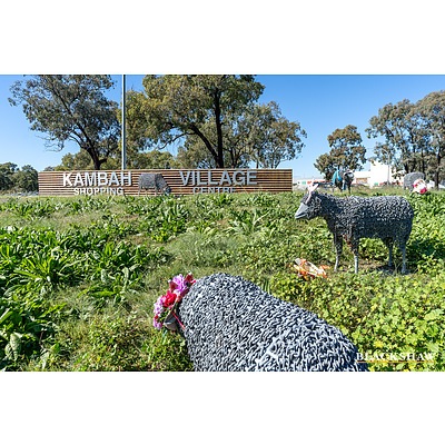 95 Learmonth Drive, Kambah ACT 2902