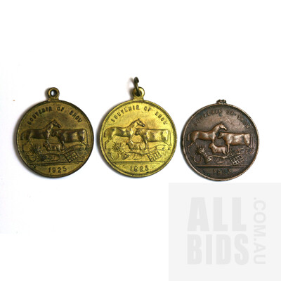 3x Australian Agricultural Society Show Souvenir Medals 1923 & 1925