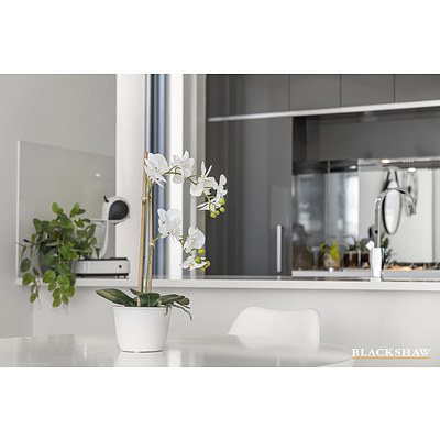 139/11 Trevillian Quay, Kingston ACT 2604