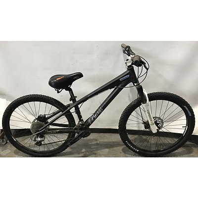 Giant Brass Mountain Bike