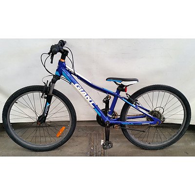 Giant XTCjr 21 Speed Mountain Bike