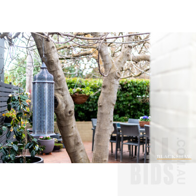 21 Jenkins Street, Curtin ACT 2605