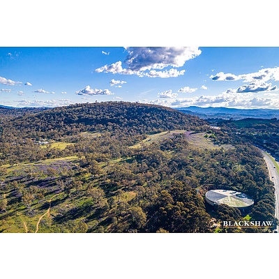 53 Investigator Street, Red Hill ACT 2603