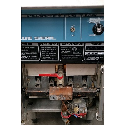 Blue Seal G41.M Stainless Steel Gas Deep Fryer