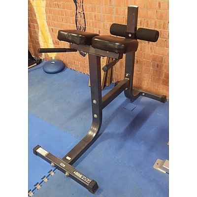 Parabody Hyper-Extension Roman Lot 1171195 ALLBIDS