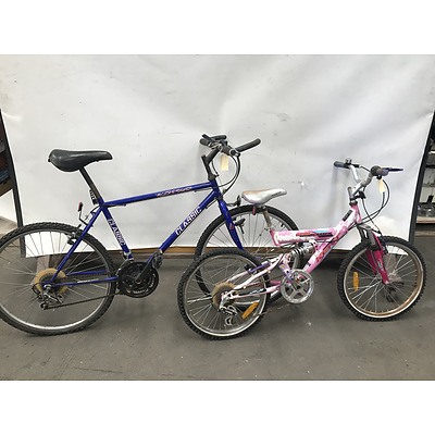 Classic Aggressor and Kent Trail Bikes
