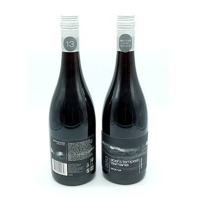 Abel's Tempest Tasmania 2013 Pinot Noir - Lot of Two Bottles (2)