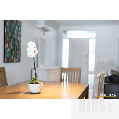56/1 Kogarah Lane, Reid ACT 2612