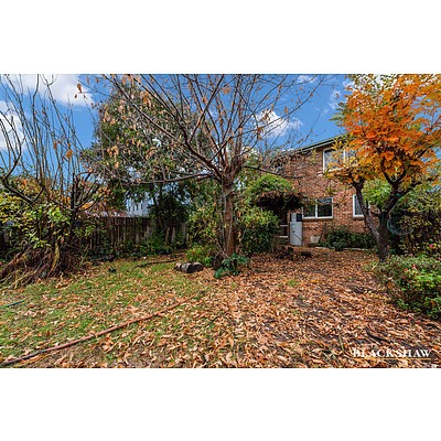 31 Lowrie Street, Dickson ACT 2602