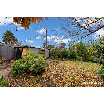 31 Lowrie Street, Dickson ACT 2602