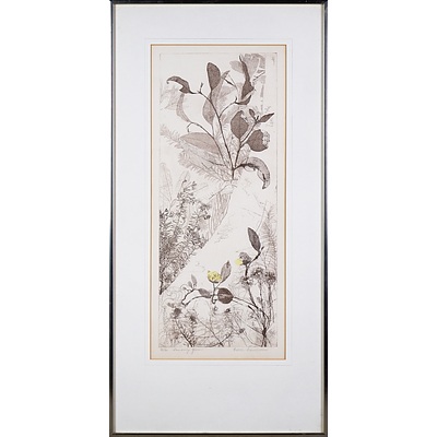 Edith Cowlishaw (born 1924), Scrubby Gum, Etching & Hakea and Iris, Woodcut, largest 50 x 20 cm (2)