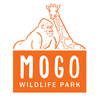 Two Nights Accommodation at The Punt House and Mogo Zoo Experience