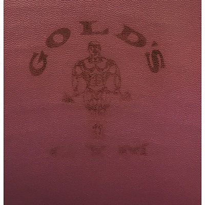 Iconic Gold's Gym Chin, Hip And Dip Machine