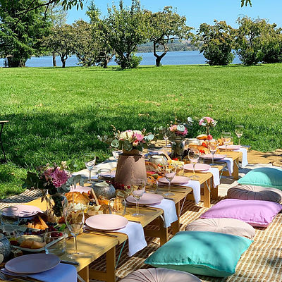 Picnic Party Package
