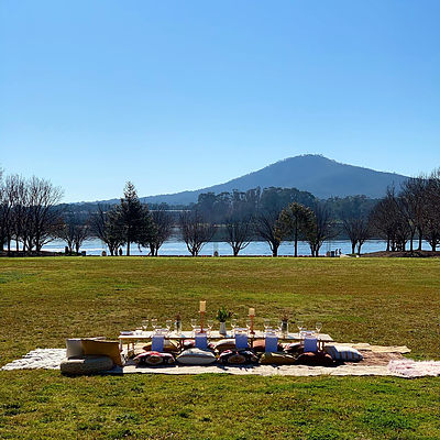 Picnic Party Package