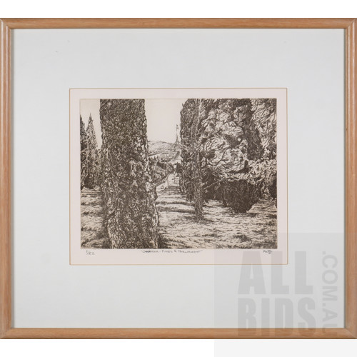 Michael Winters (born 1943), Canberra - Pines and Parliament 1993, Etching, 24.5 x 31.5 cm (image size)