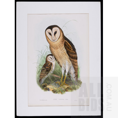 A Group of Six Unframed John Gould Hand-Coloured Lithographs, each approx. 50 x 30 cm (image size) (6)