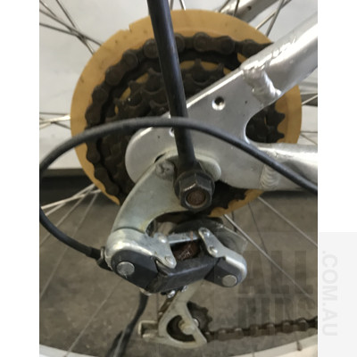 Tarini SLX 18 Mountain Bike