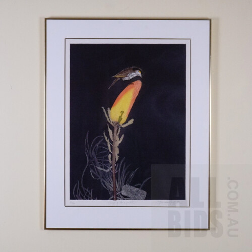 Pamela Griffith (born 1943), Singing Honeyeater, Etching & Aquatint, 60 x 44 cm (image size)