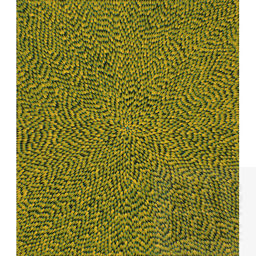 Cheryl Gibson (born 1992), Bush Medicine, Acrylic on Canvas, 110 x 95 cm