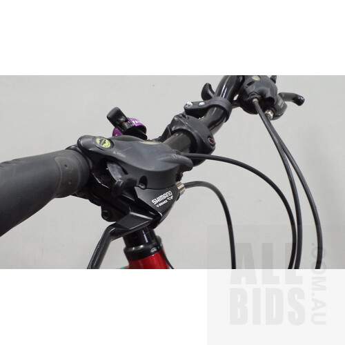 Avanti Pioneer 21 Speed Road Bike