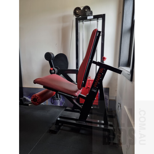 Panatta Seated Quad Leg Extension Machine