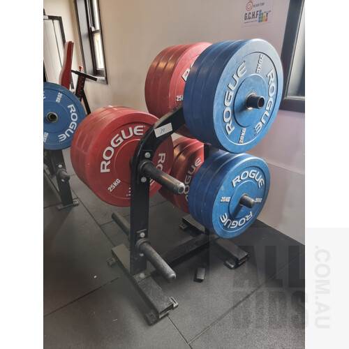 Weight Plate Storage Rack - Steel